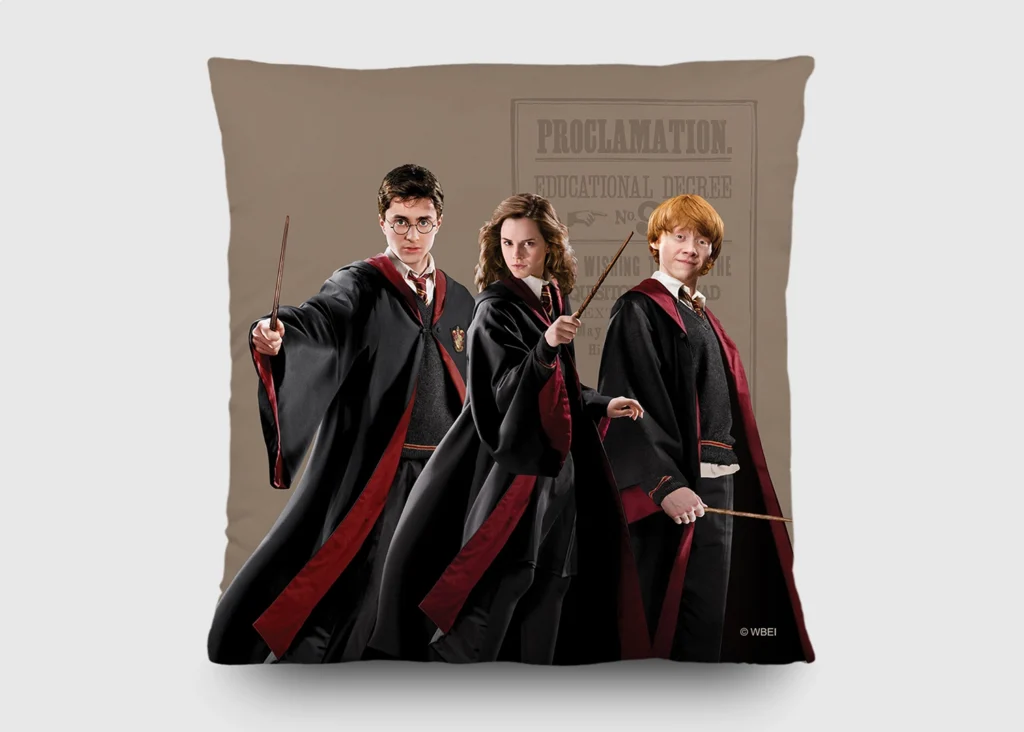 Cushion Harry Potter Dumbledore's Army, 40 x 40 cm, CND 3155