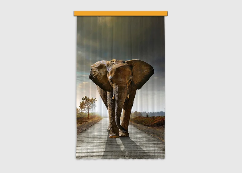 Curtain Elephant, 140 x 245 cm, FCPL 6507