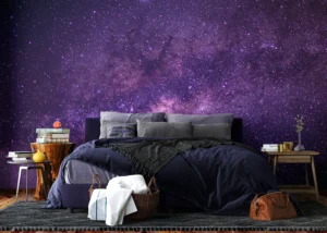 Wall Mural Milky Way, 375 x 270 cm, FT5P 352051