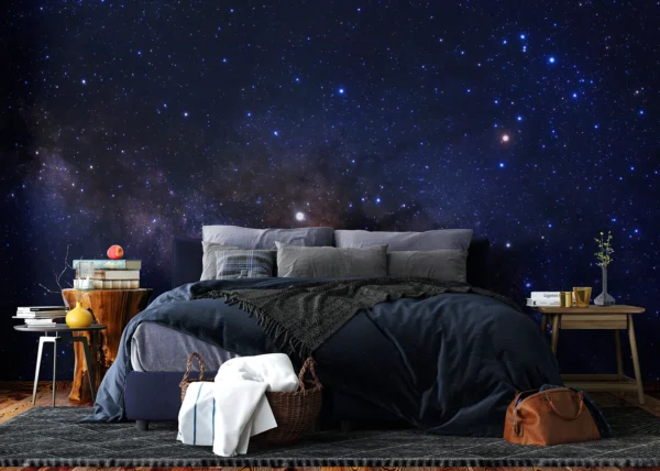 Wall Mural Milky Way View, 375 x 270 cm, FT5P 352115