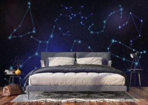 Wall Mural Constellations, 375 x 270 cm, FT5P 352211