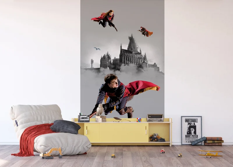 Wall Mural Harry Potter, 150 x 270 cm, FTD2P 5613