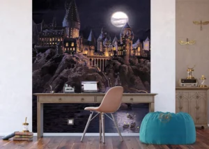 Wall Mural Harry Potter, 225 x 270 cm, FTD3P 5177