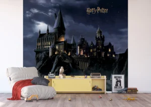 Wall Mural Harry Potter, 300 x 270 cm, DTD4P 7803