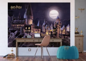 Wall Mural Harry Potter Diagon Hogwarts, 252 x 182 cm, FTDXL 1973