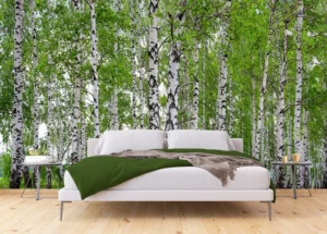 Wall Mural Birch Forest, 375 x 270 cm, FTNS 2448