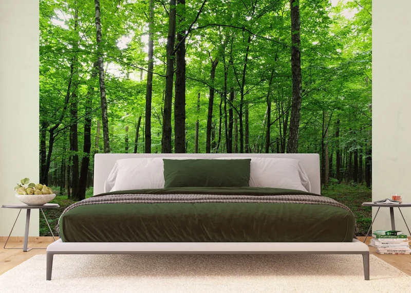 Wall Mural Green Forest, 375 x 270 cm, FTNS 2446