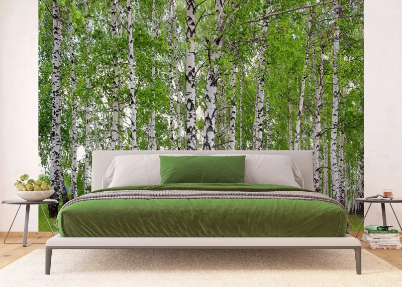 Wall Mural Birch Forest, 375 x 270 cm, FTNS 2448