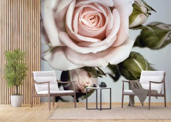 Wall Mural Rose, 375 x 270 cm, FTNXXL 0313