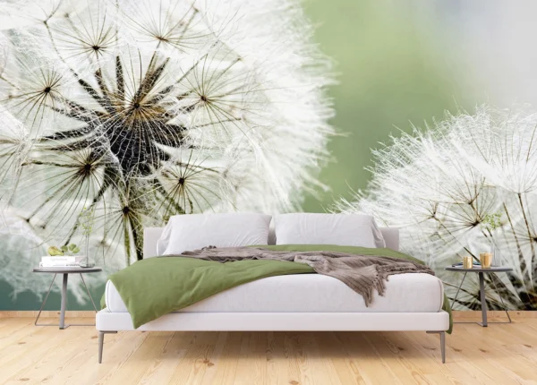 Wall Mural Dandelion, 375 x 270 cm, FTNXXL 0477