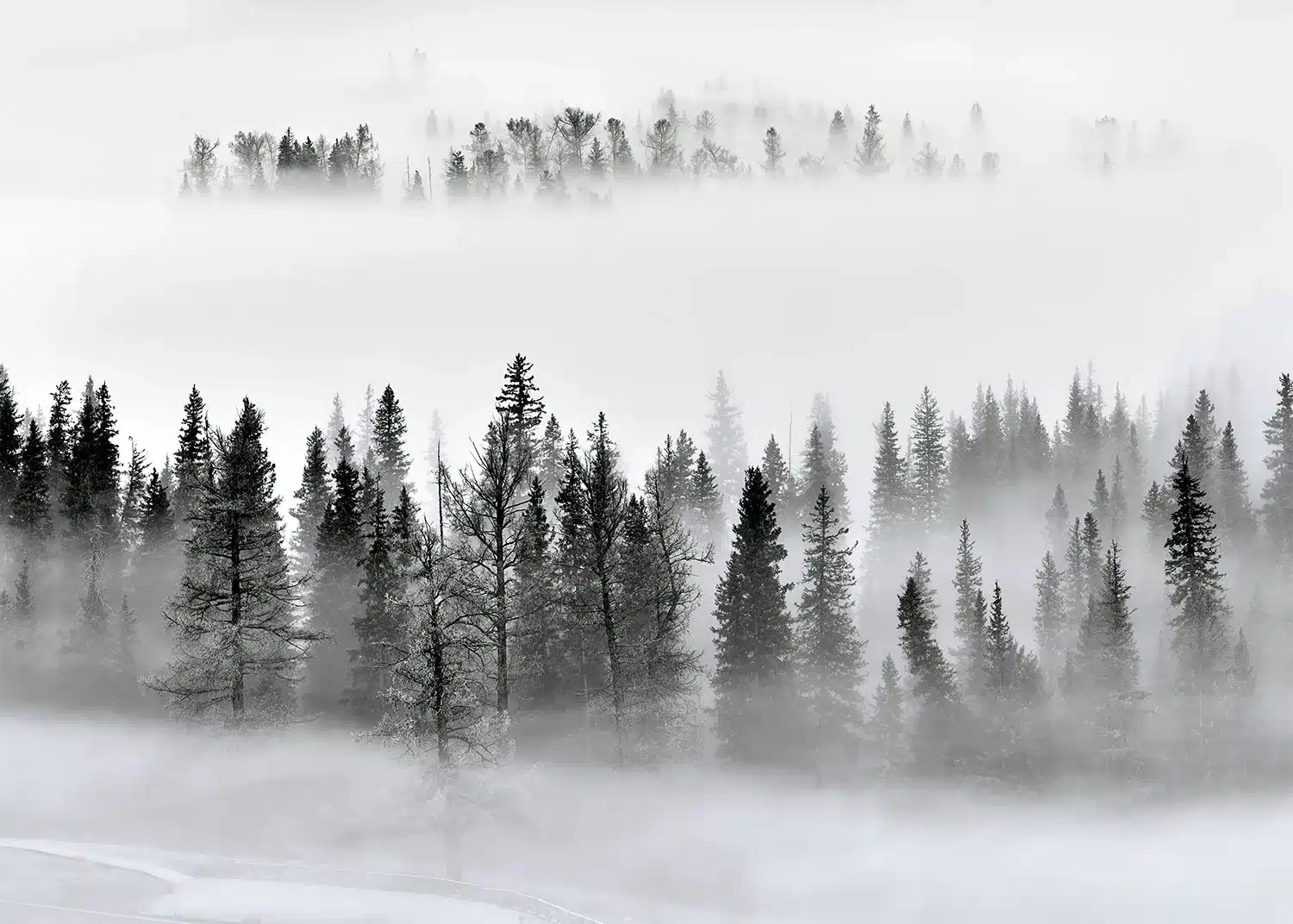 Wall Mural Foggy Morning, 375 x 270 cm, FTNXXL 3008