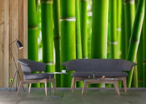 Wall Mural Bamboo, 360 x 254 cm, FTS 0170