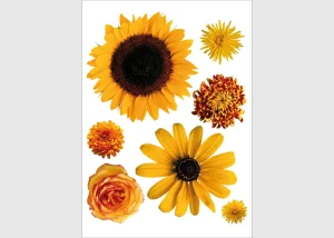 Wall Stickers Sunflower, 65 x 85 cm, F 0408