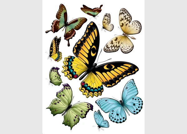 Wall Stickers Butterflies, 65 x 85 cm, F 1069