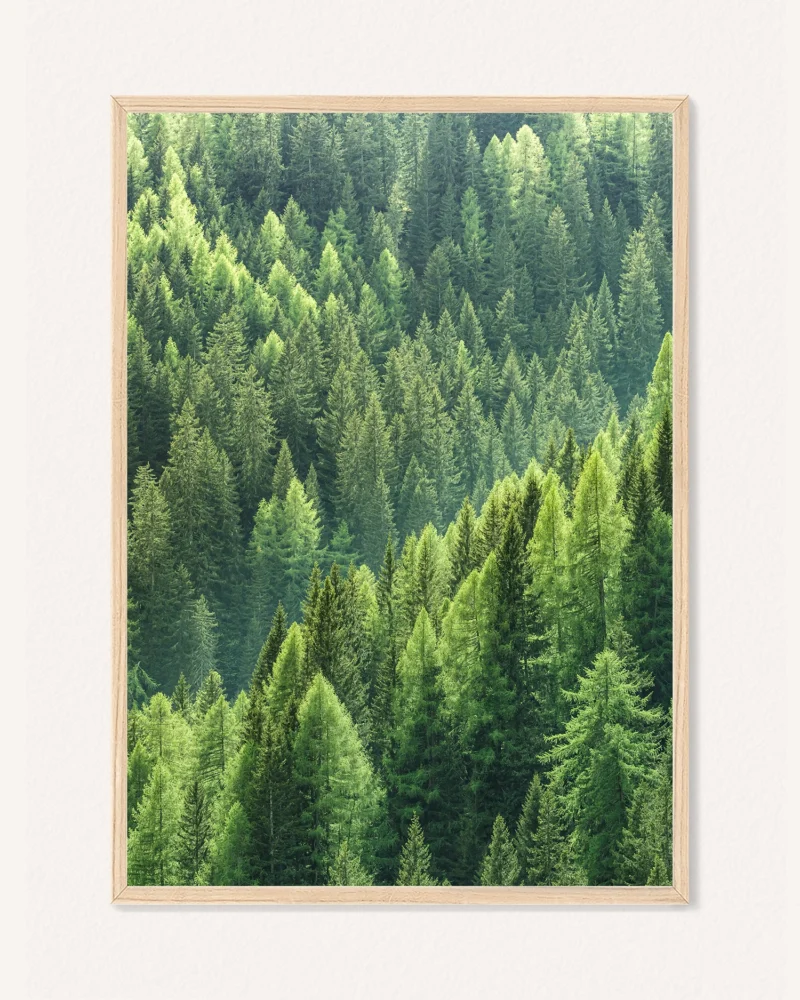 Poster Wild Pines / Moss, 30 x 42 cm, P 351317