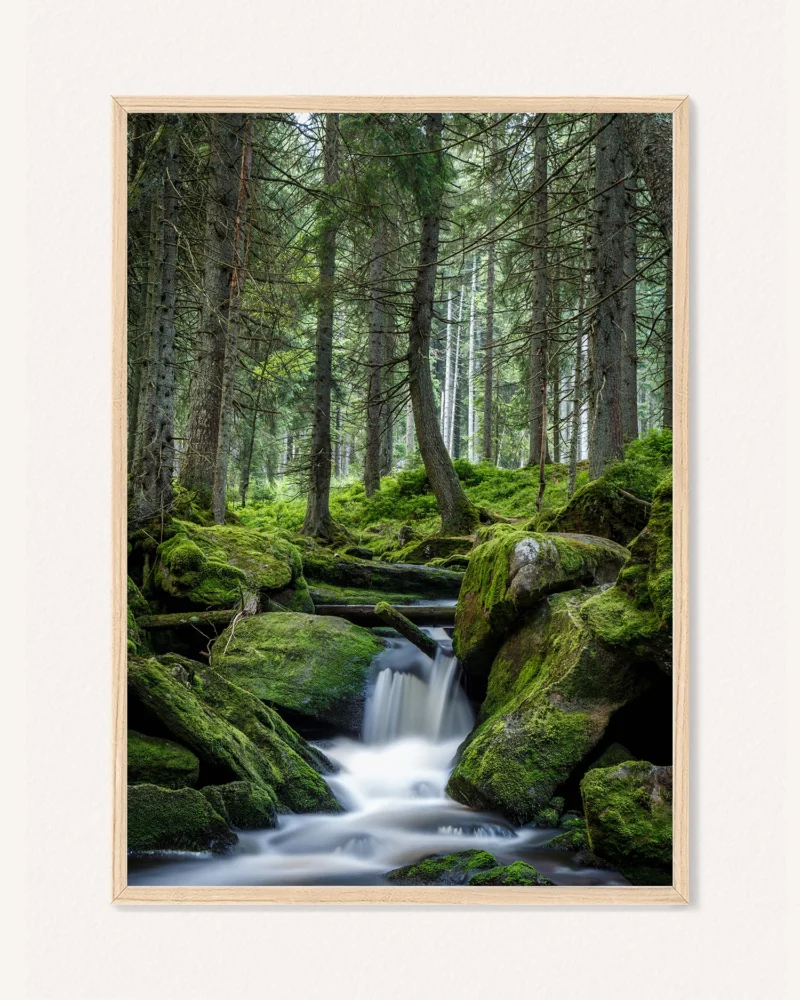 Poster Forest Waterfall / Forest Boardwalk, 30 x 42 cm, P 351321