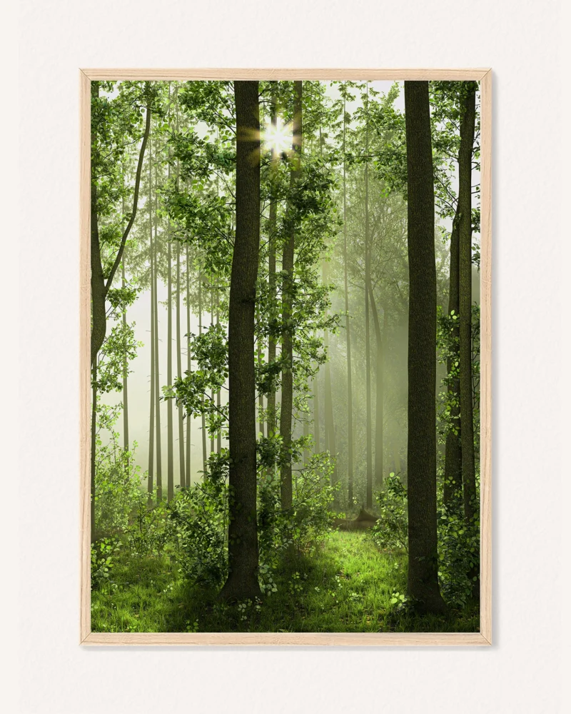 Poster Foggy Morning / Wild Waterfall, 30 x 42 cm, P 351323