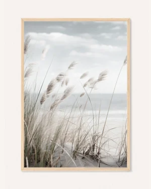 Poster Beach Pampas / Dry Flowers, 30 x 42 cm, P 351331