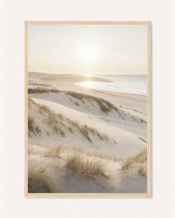 Poster Summer Sunshine / Marram Grass, 30 x 42 cm, P 351337