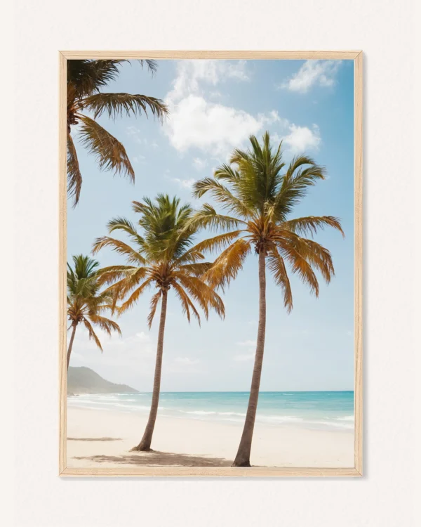 Poster Palms, 30 x 42 cm, P 351377