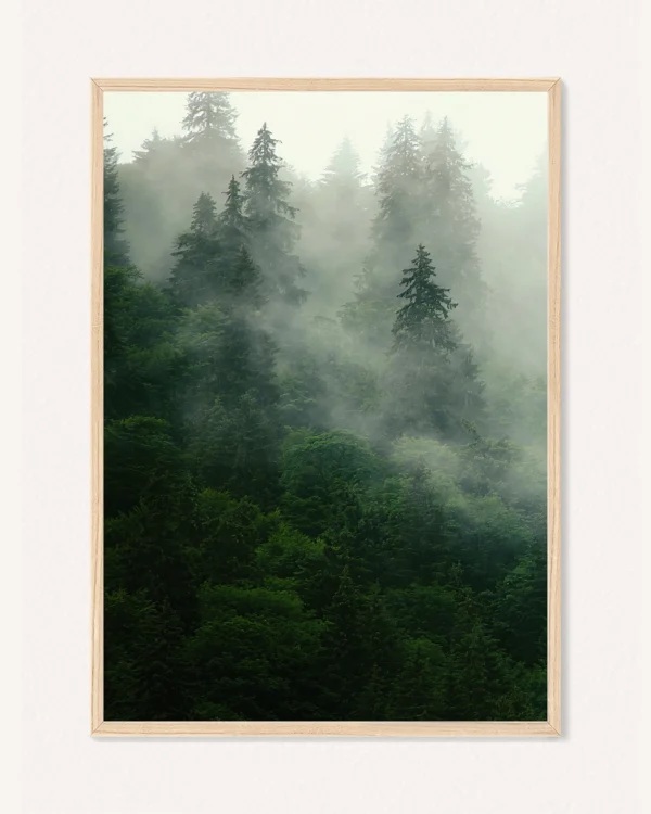 Poster Nature, 30 x 42 cm, P 351461