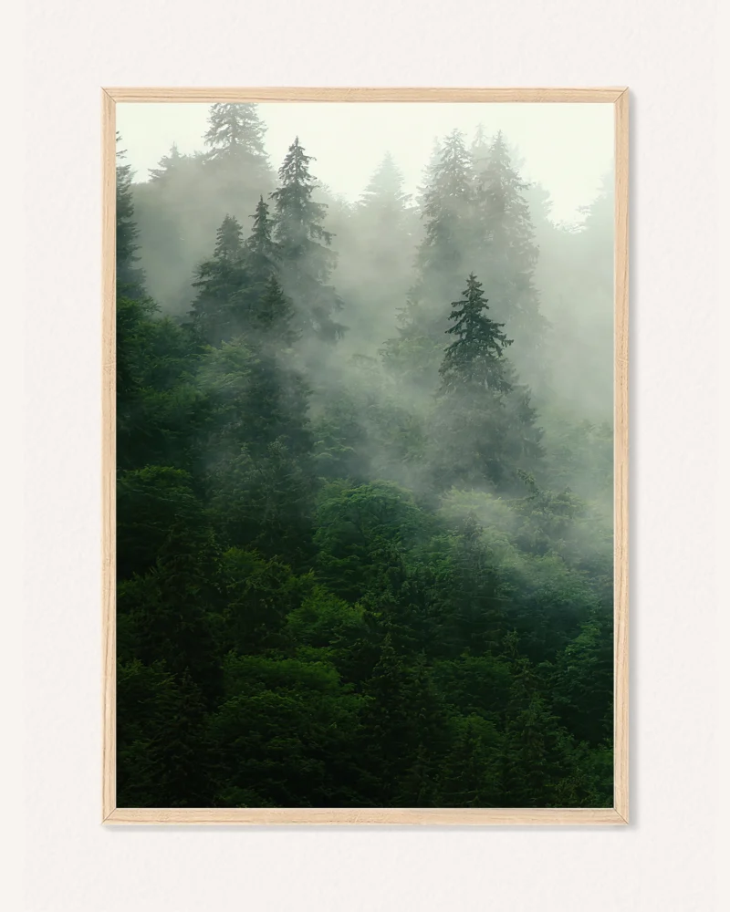 Poster Nature, 30 x 42 cm, P 351461