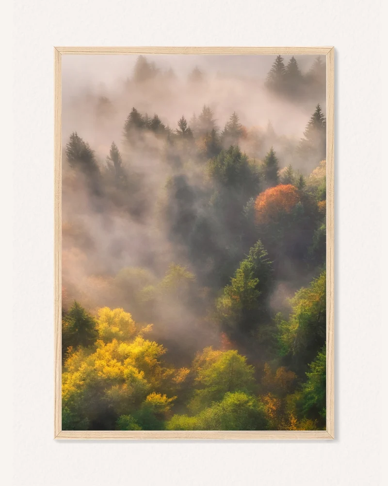 Poster Nature, 30 x 42 cm, P 351463 - Image 2