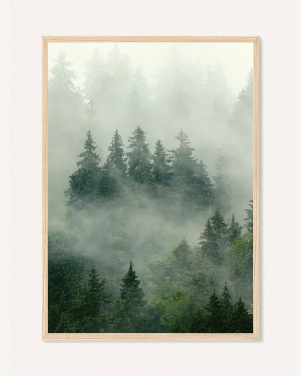 Poster Nature, 30 x 42 cm, P 351463