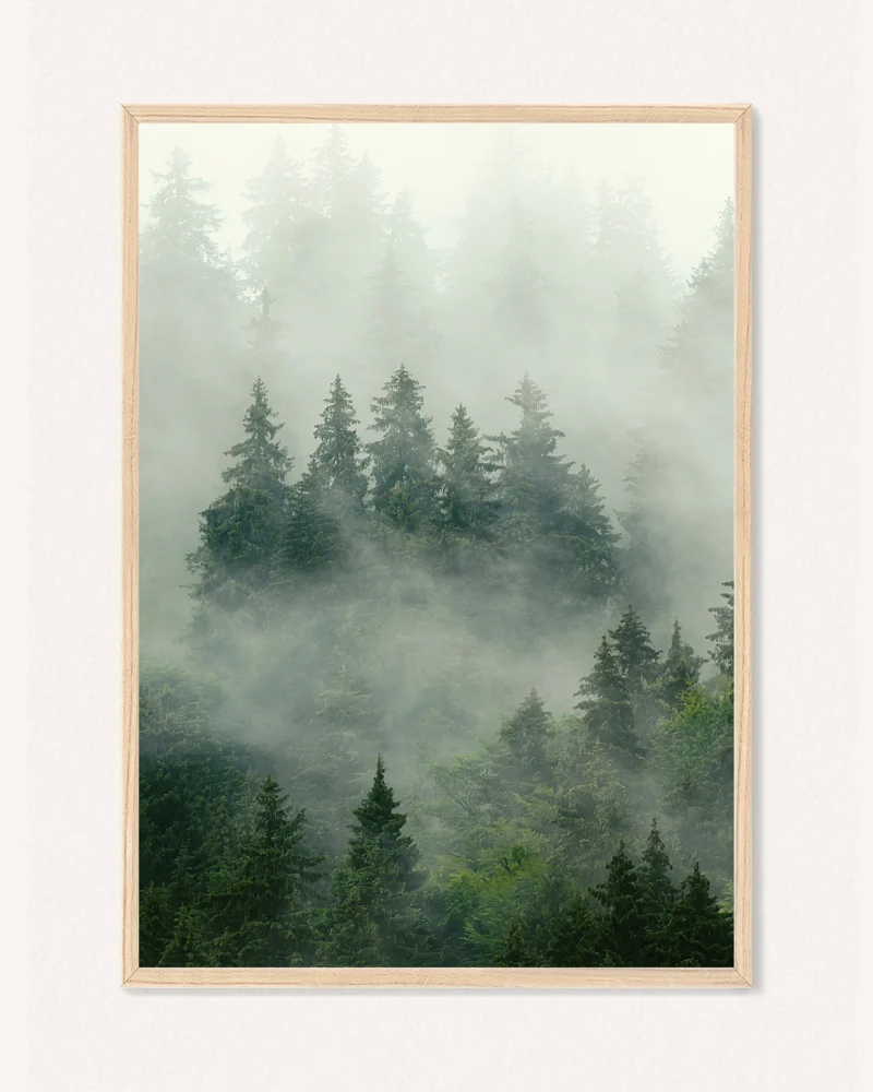 Poster Nature, 30 x 42 cm, P 351463