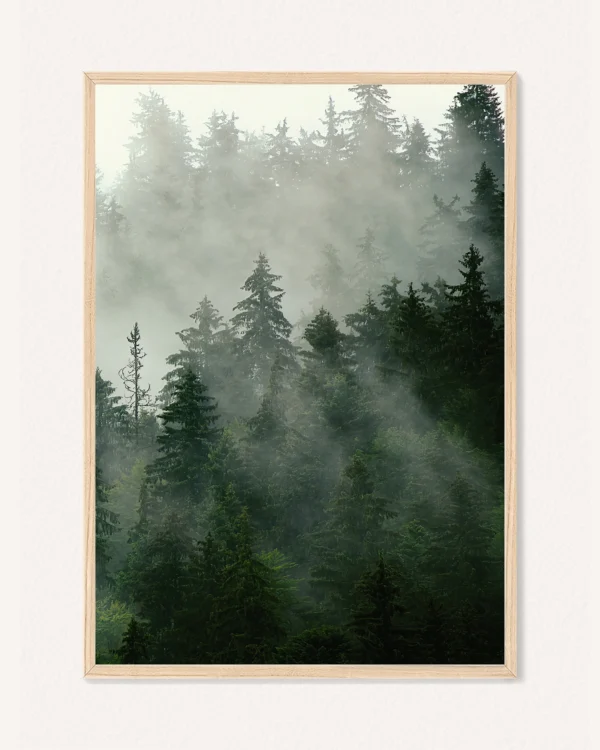Poster Nature, 30 x 42 cm, P 351465