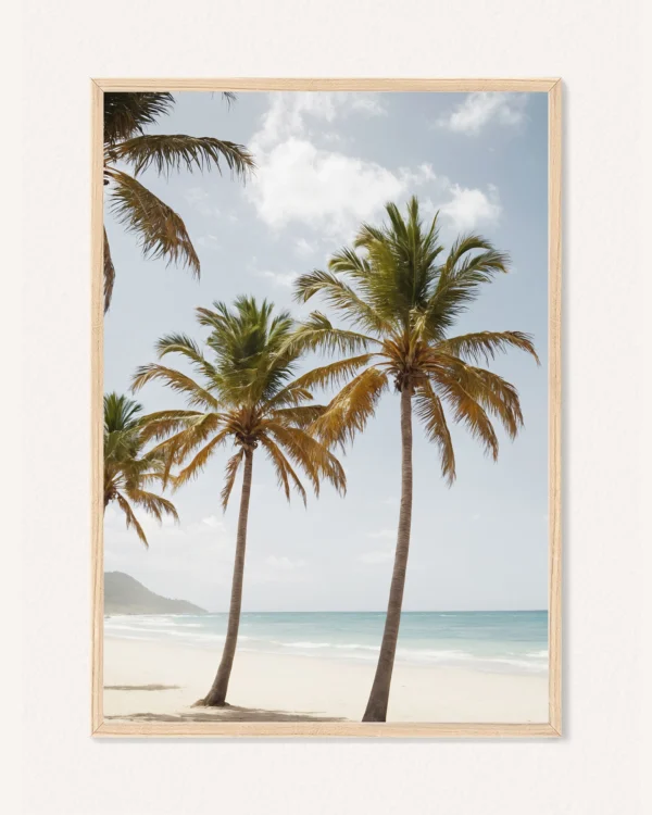 Poster Summer, 30 x 42 cm, P 351477