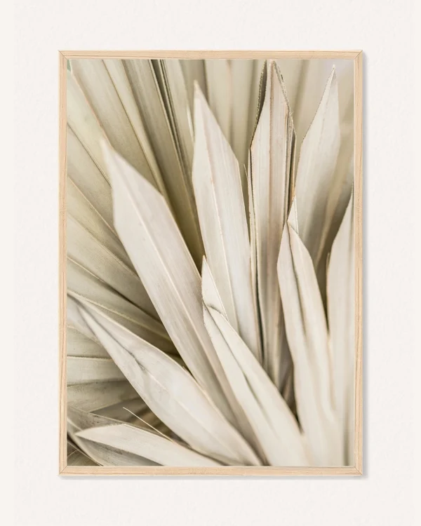 Poster Botanics, 30 x 42 cm, P 351485