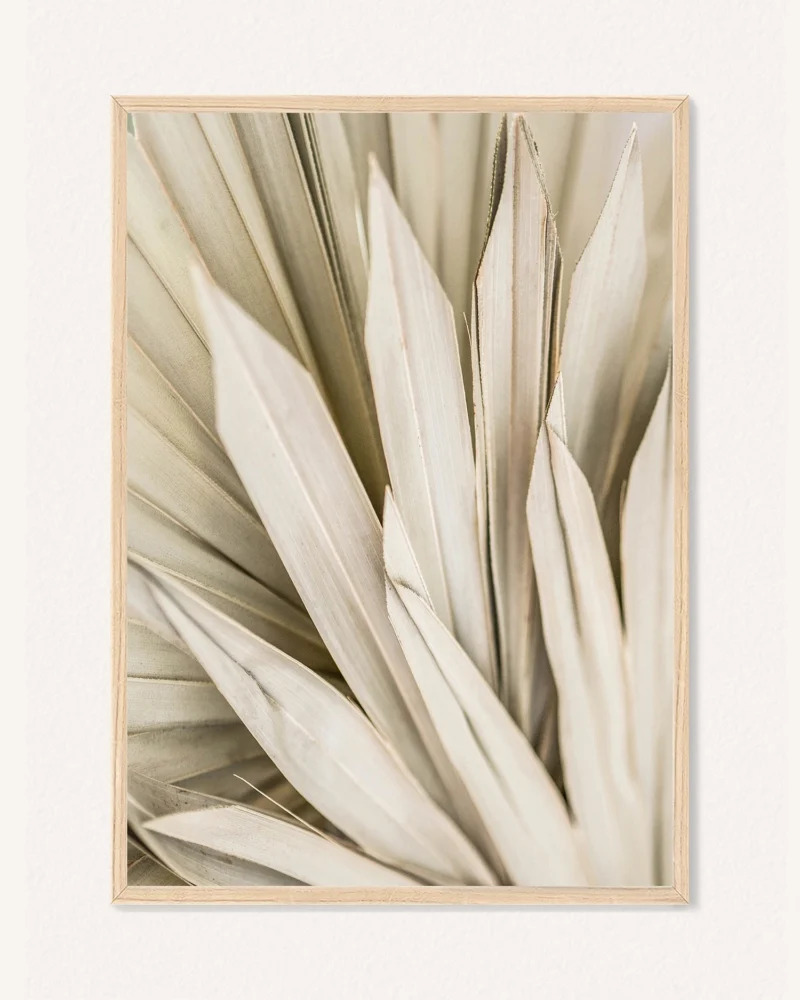 Poster Botanics, 30 x 42 cm, P 351485