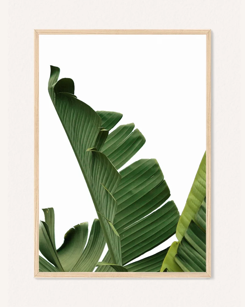 Poster Botanics, 30 x 42 cm, P 351489 - Image 2