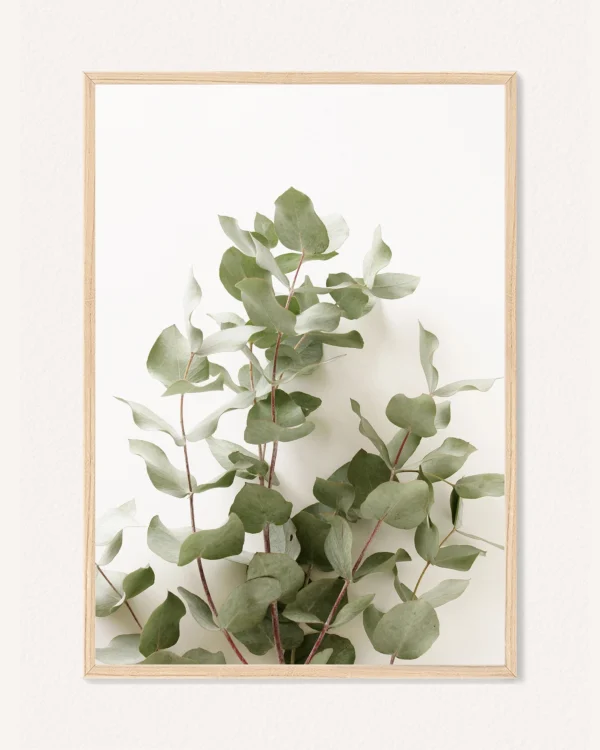 Poster Botanics, 30 x 42 cm, P 351489