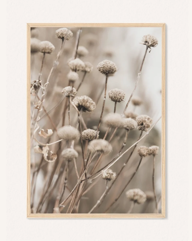 Poster Summer Pampas, 30 x 42 cm, P 351493 - Image 2