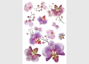 Wall Stickers Orchids, 42,5 x 65 cm, SM 3440