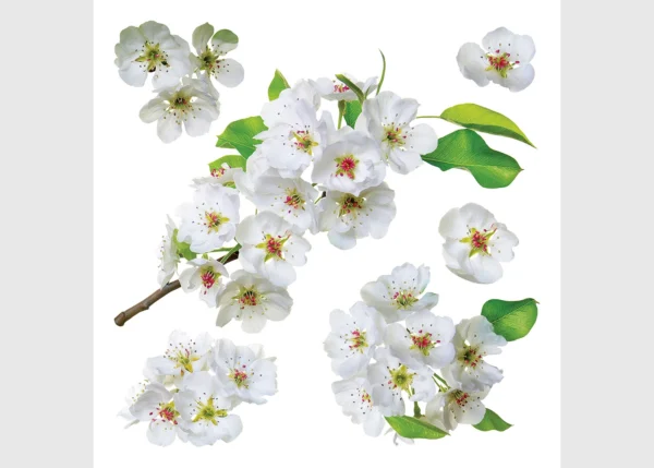 Wall Stickers Apple Blossom, 30 x 30 cm, SS 3871