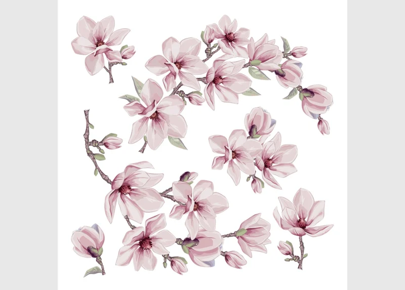 Wall Stickers Magnolia Blossom, 30 x 30 cm, SS 3873