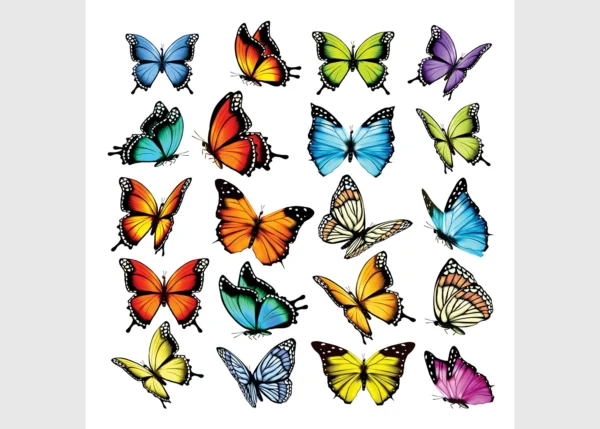 Wall Stickers Butterflies, 30 x 30 cm, SS 3877