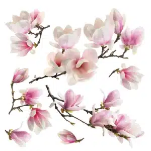 Wall Stickers Sakura, 30 x 30 cm, SS 3879