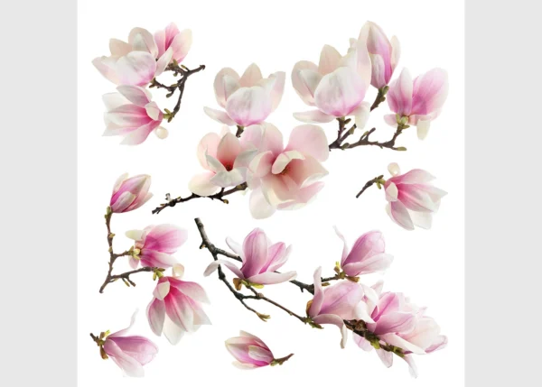 Wall Stickers Sakura, 30 x 30 cm, SS 3879