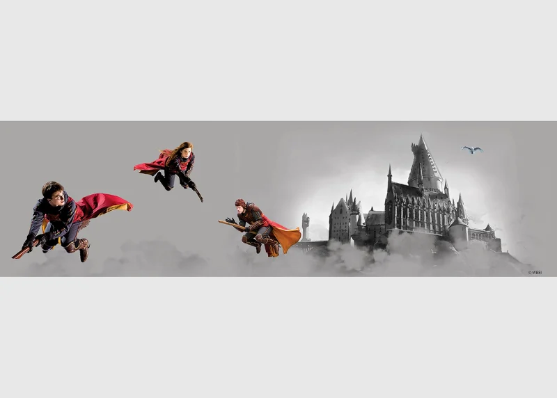 Wall Border Harry Potter Quidditch | 5 m x 13.8 cm | WBD 8189