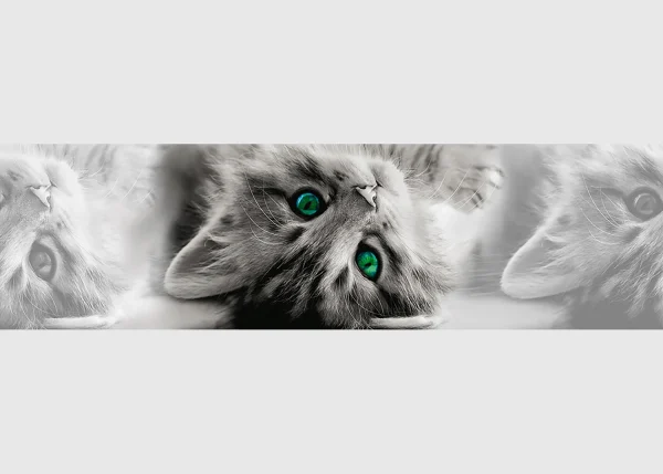 Wall Border Emerald - Gaze Kitten | 5 m x 13.8 cm | WB 8217