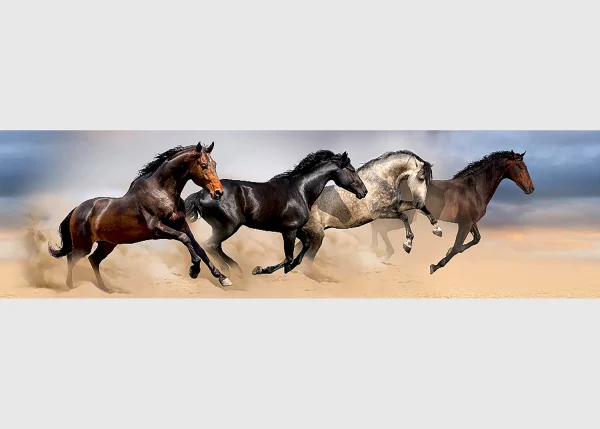 Wall Border Equine Gallop | 5 m x 13.8 cm | WB 8242