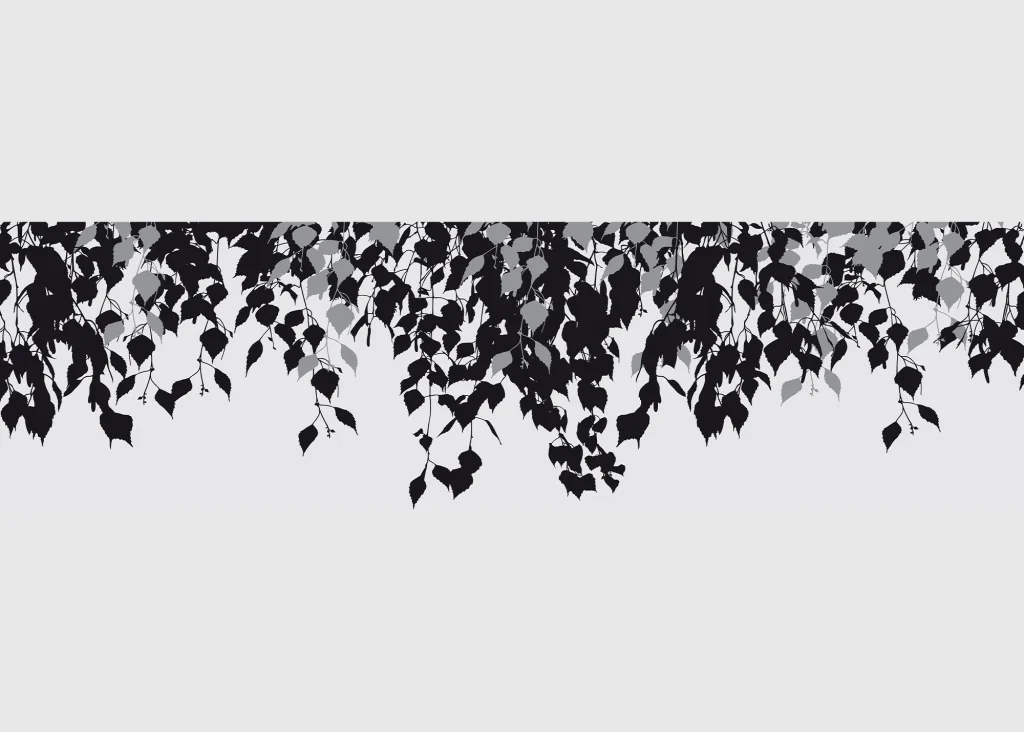 Wall Border Foliage Shadows | 5 m x 13.8 cm | WB 8277