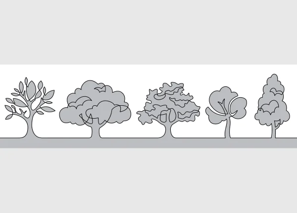 Wall Border Grey Tree Calligraphy | 5 m x 13.8 cm | WB 8279